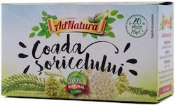 Adnatura Ceai 20 Pungi 1buc