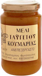 Meli Taygetou Honey Arbutus 460gr