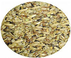 Professional Mix Breeding Pro-mix 6 Birds Food 20kg Professional Mix Breeding Pro-mix 6 Birds Food 20kg