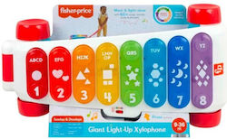 Fisher Price Xylophon