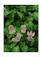 Hanging Ornament Mix Ornaments Wooden Set 4pcs