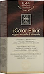 Apivita My Color Elixir Σετ Βαφή Μαλλιών Χωρίς Αμμωνία 6.44 Ξανθό Σκούρο Έντονο Χάλκινο 125ml