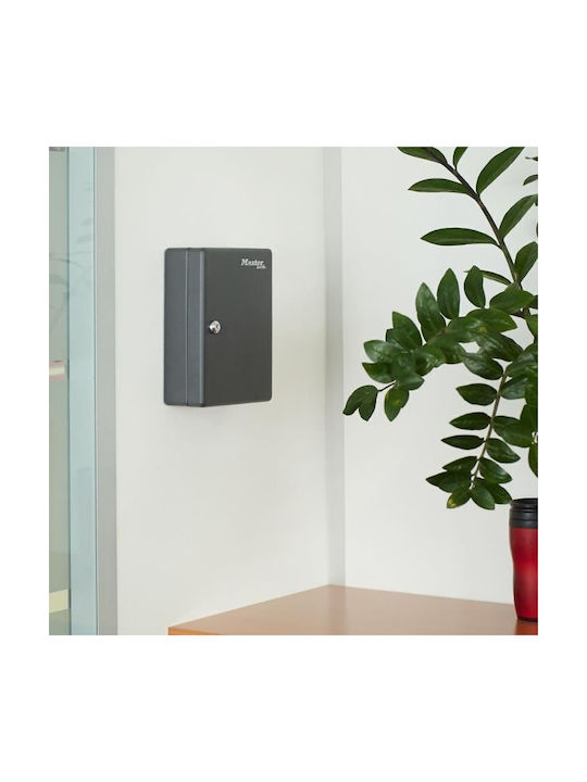 Master Lock Wall Key Hook 50 Hooks with Lock 8x23.9x30cm