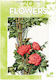 Leonardo Collection, 20, Flowers