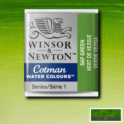 Winsor & Newton Watercolour Green