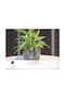 Viomes Ghiveci Plastic Gri 30x30x25εκ.