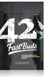 Fast Buds Σπόροι Κάνναβης
