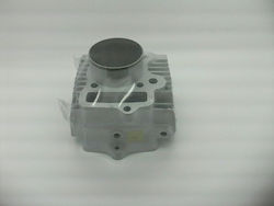 Riken Motorradmotorzylinder 55mm für Honda Astrea Groß 100