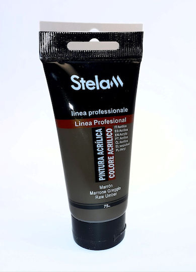 Stelan Ακρυλικό Χρώμα Ζωγραφικής Raw Umber 75ml