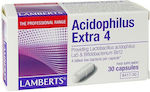 Lamberts Acidophilus Extra 4 Probiotics 30 caps