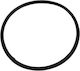Oil Filter Seal
