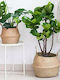 Natural Home Decorative Basket Wicker with Handles Beige 36x32cm