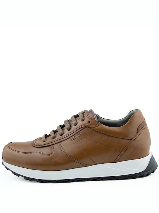 Damiani Sneakers Brown