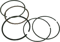 Riken Motorcycle Piston Springs 47mm