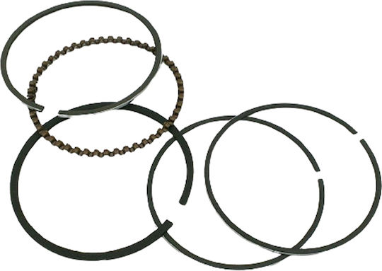 Riken Motorradkolbenfedern 47mm