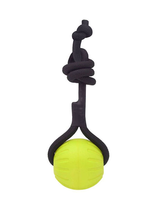 Nunbell Pet Jucărie de Câine Galben