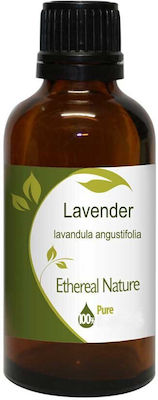 Nature & Body Lavender Oil 100ml