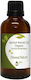 Nature & Body Βιολογικό Βερικοκέλαιο 100ml