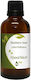 Nature & Body Αρωματικό Έλαιο Blackberry 30ml