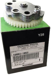 Kawasaki Pompe de ulei pentru Modenas Kriss