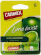 Carmex Moisturising Lip Balm SPF15 Lime Twist 4...