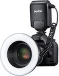 Godox Lighting Kit for Studio