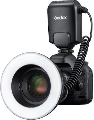 Godox Lighting Kit