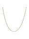 Ortaxidis Gold Chain Neck 14K