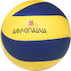 Αθλοπαιδιά Volleyball Ball Innenbereich No.5