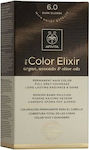 Apivita My Color Elixir Σετ Βαφή Μαλλιών Χωρίς Αμμωνία 6.0 Ξανθό Σκούρο 125ml