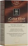 Apivita My Color Elixir Set Haarfarbe kein Ammoniak 7.44 Blonde Bold Bronze 125ml