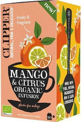 Clipper Verde Ceai Produs organic 20 Pungi 36gr 1buc cu Aromă Extract de Mango + Citrice