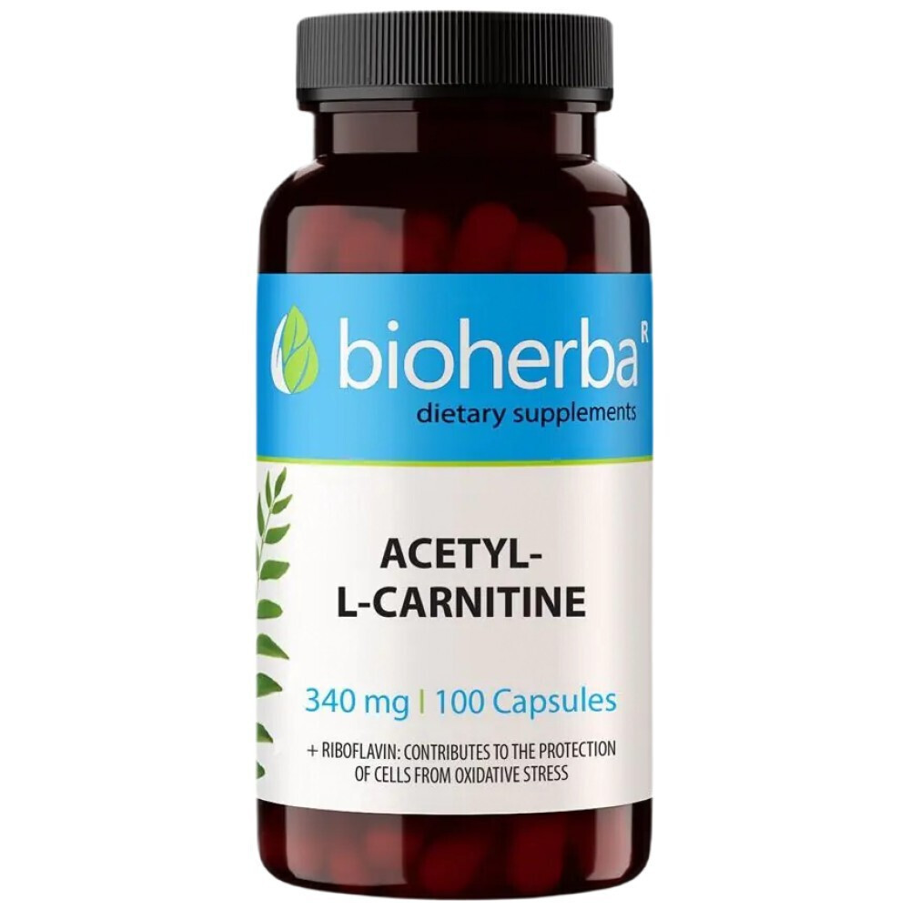 Bioherba Acetyl Lcarnitine με Καρνιτίνη 340mg 100 κάψουλες Skroutz.gr