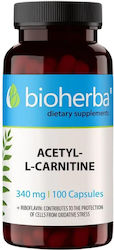 Bioherba Acetyl L-carnitine 340мг Ацетил L-карнитин 100 капси Bioherba Acetyl L-carnitine 340мг Ацетил L-карнитин 100 капси