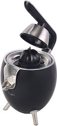 Ardes Electric Juicer 200W with 500ml Capacity Black