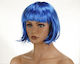 Carnival Wig Straight Blue