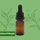 Mesogeios Ätherisches Öl Eukalyptus 10ml