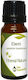 Nature & Body Ελεμί Elemi Αιθέριο Έλαιο 10ml