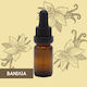 Mesogeios Ätherisches Öl Vanille 10ml