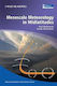 Mesoscale Meteorology In Midlatitudes