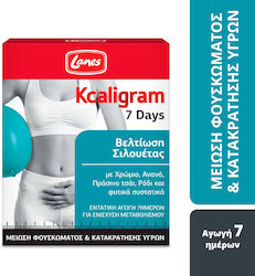 Lanes Kcaligram 7 Tage Verbesserung der Silhouette Reduktion von Blähungen & Wassereinlagerungen 14 Tabletten 14 Kapseln Lanes Kcaligram 7 Tage Verbesserung der Silhouette Reduktion von Blähungen & Wassereinlagerungen 14 Tabletten 14 Kapseln