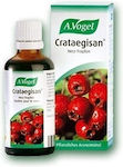 A.Vogel Crataegisan 50ml