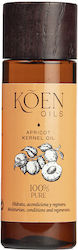 Koen Oils Apricot Oil 100ml