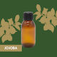 Δίγκας Γ. Βιολογικό Έλαιο Jojoba 100ml