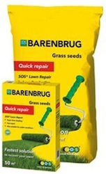 Barenbrug Σπόροι