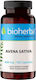 Bioherba 400мг 100 капси