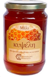 Μελισσοκομική Δωδεκανήσου Μέλι Ανθέων 450gr