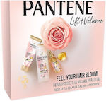 Pantene Feel Your Hair Bloom Set de îngrijire a părului cu Șampon și Balsam