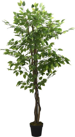 Φίκος σε Γλάστρα 80cm vidaXL