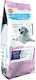 Cennamo 15kg Dry Food for Large Breed Puppies with Chicken